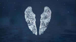 Angel Wings With Several Textures Wallpaper