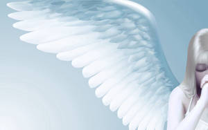 Angels In Heaven Half Wing Body Wallpaper