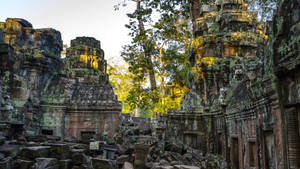 Angkor Wat Surrounded By Nature Wallpaper