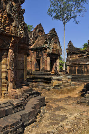 Angkor Wat With Blue Sky And Towering Tree Wallpaper