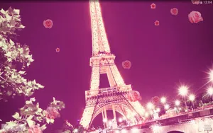Angled Pink Paris Photo Wallpaper