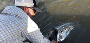 Angler Catching Tarpon Wallpaper