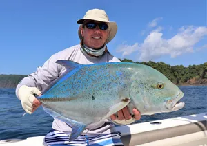 Anglerwith Blue Runner Fish Wallpaper