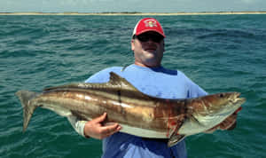 Anglerwith Caught Cobia Wallpaper