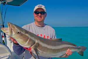 Anglerwith Caught Cobia Fish Wallpaper