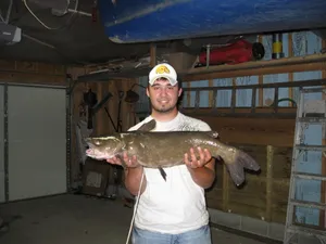 Anglerwith Channel Catfish Catch Wallpaper