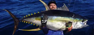 Anglerwith Large Yellowfin Tuna Catch Wallpaper