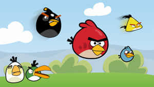 Angry Birds Characters Flyingand Ground Wallpaper