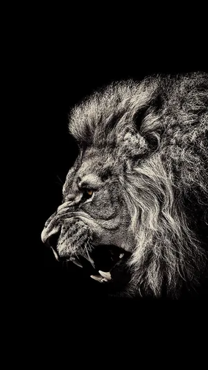 Angry Lion Iphone Art Wallpaper