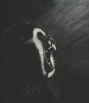 Angry Marmoset Artwork Wallpaper