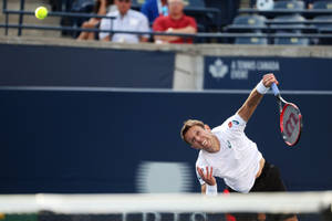 Anguished Daniel Nestor Wallpaper