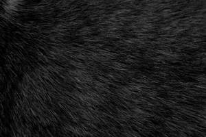 Animal Fur In Black Wallpaper