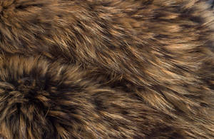 Animal Fur In Brownish Gray Color Wallpaper