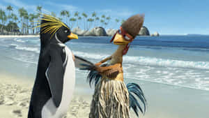 Animated Penguinand Chicken Joeon Beach Wallpaper