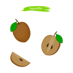 Animated Sapodilla Fruits Wallpaper