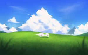 Animated_ Windows_ X P_ Bliss_ Background Wallpaper