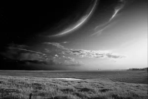 Animation Black And White Grass Field Wallpaper