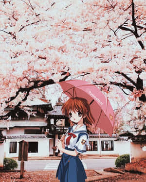 Anime Girl Cherry Blossoms Umbrella Wallpaper