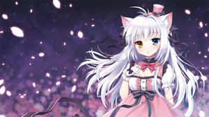 Anime Girlwith White Hairand Cat Ears Under Starry Sky Wallpaper