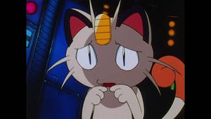 Anime Meowth Looking Sad Wallpaper