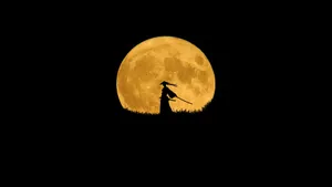 Anime Moon Silhouette Wallpaper