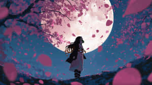 Anime Moonlit Sakura Scene Wallpaper