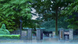 Anime Park Scenery 1920 X 1080 Wallpaper