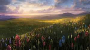 Anime Scenic Flower Field Wallpaper