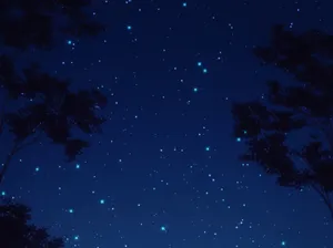 Anime Starry Night Scenery Wallpaper