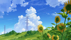 Anime Summer Sunflower Field Wallpaper