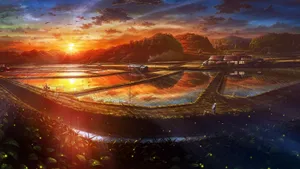Anime Sunset Over Rice Fields Wallpaper