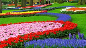 Annual Garden Bloom Wallpaper