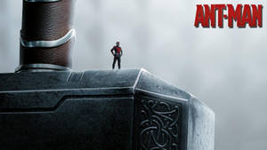 Ant-man Above The Thor Hammer Wallpaper