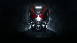 Ant Man In Focus Wallpaper
