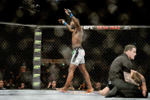 Anthony Johnson Winning Against Alexander Gustafsson 2015 Wallpaper