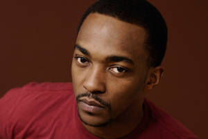 Anthony Mackie Intense Gaze Wallpaper