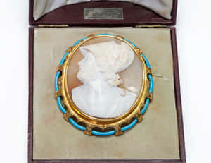 Antique Cameo Broochin Box Wallpaper