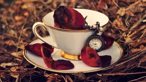 Antique Teacup With Pocket Watch Wallpaper