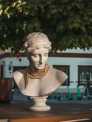 Aphrodite Bust Urban Backdrop Wallpaper