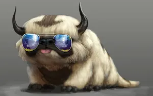 Appa Wearing Sunglasses Wallpaper
