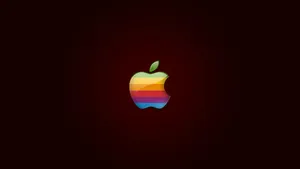 Apple Logo 4k In Rainbow Wallpaper