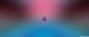 Apple Logo Wallpapers Hd Wallpaper