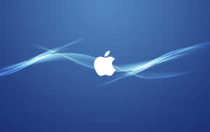 Apple Logo Wallpapers Hd Wallpaper