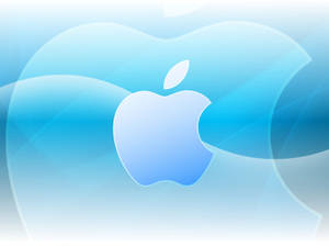 Apple Logo Wallpapers Hd Wallpaper