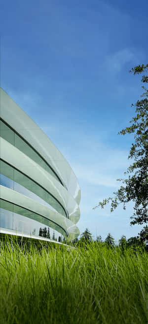Apple Park Exterior View Wallpaper