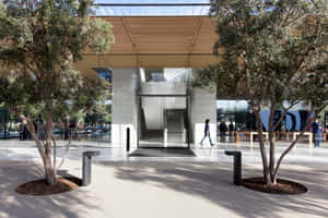 Apple Park Visitor Center Entrance Wallpaper
