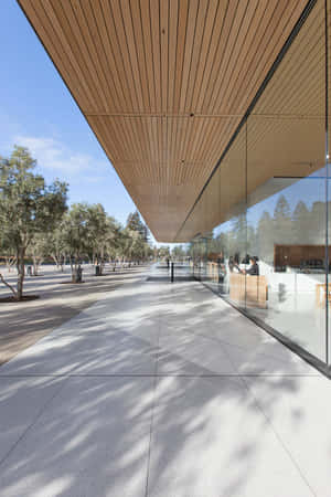 Apple Park Visitor Center Exterior Wallpaper