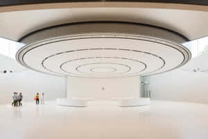Apple Park Visitor Center Interior Wallpaper