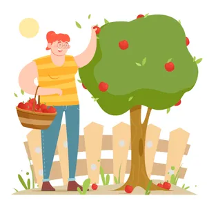 Apple Picking 2000 X 2000 Wallpaper Wallpaper