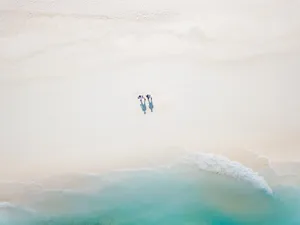 Appreciate The Beauty Of Nature Wallpaper